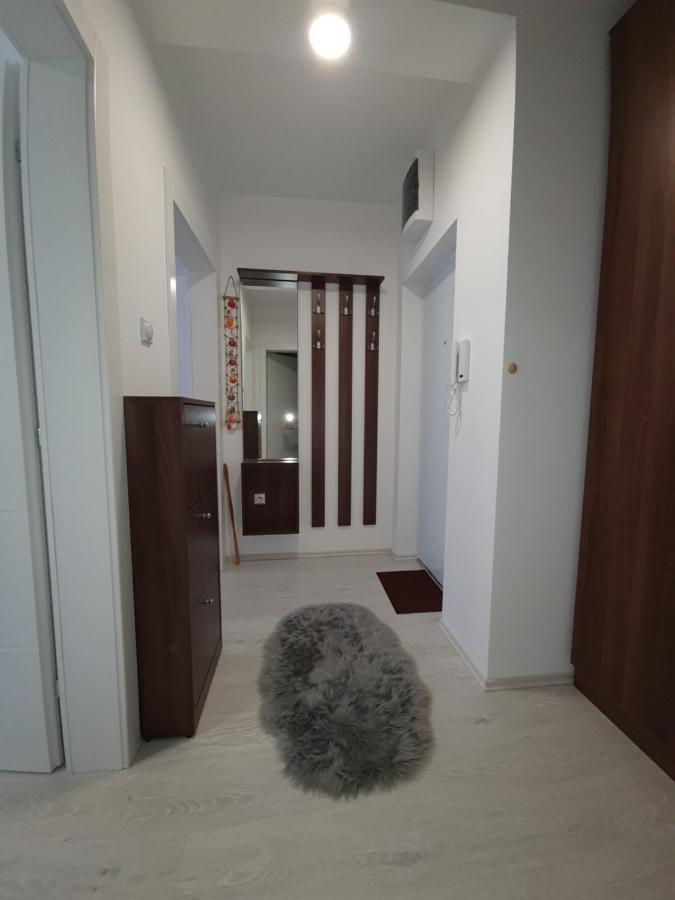 Apartman Kerkez 索科矿泉村 外观 照片